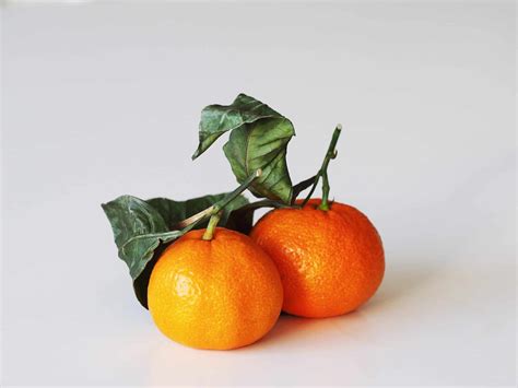 Mandarin Orange for Babies - Solid Starts