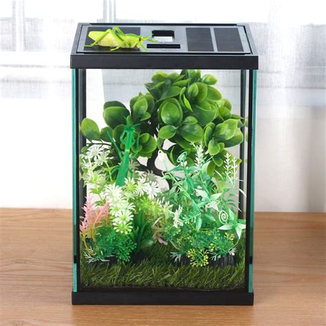 Buy crapelles Black Small Vertical Insect GlassTerrarium, Reptile Tank ...