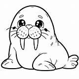 Walrus Coloring Pages 38  Gem sketch template