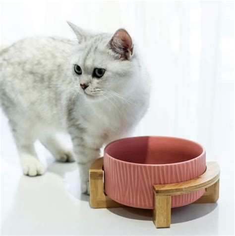 Ceramic Cat Bowls & Feeders with wood stand | Cat bowls, Pet bowls, Pets