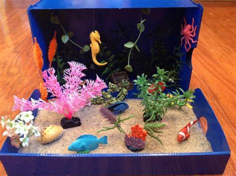 ocean biomes fish project - Google Search | Ocean diorama, Diorama kids, Ocean projects