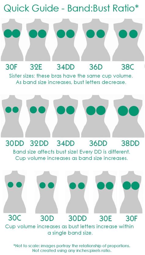 Everything You Need to Know About Bra Sister Sizes - The Melon Bra