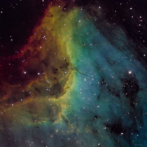 Pelican nebula SHO | The Pelican Nebula displays fascinating… | Flickr