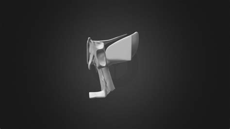 Nasal Conchae- Parasagittal Plane - 3D model by jplister [601c541] - Sketchfab