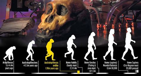 We Help Ourselves Here: Scientists discover our 'earliest' ancestors