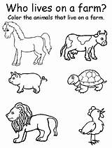 Farm Animals Coloring Pages And Activity Sheets  Home sketch template
