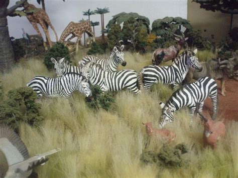 New pics of African diorama with the new animals - Laughing Giraffe | Diorama, Animals, School ...