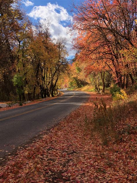 The Best of Millcreek Canyon - Utah Elope