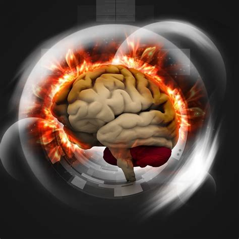 Brain "Rebuilds" Itself to Combat Schizophrenia - The Lab World Group