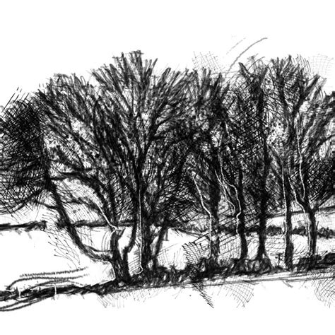 Winter copse sketch | SeanBriggs