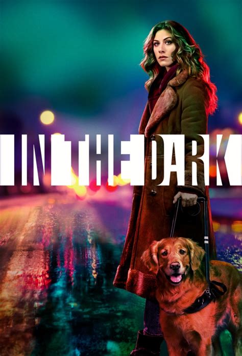 In the Dark (season 4) – TVSBoy.com