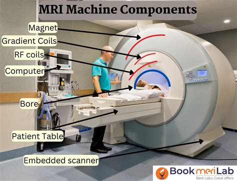 MRI Defecography: Price, Purpose, Procedure & Results [2024]