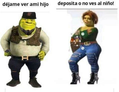 Cara De Shrek Meme Shrek Dankmemes Aesthetic Perfection Cringe 66774 ...