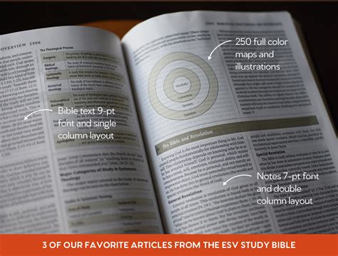 ESV Study Bible Special – Westminster Bookstore