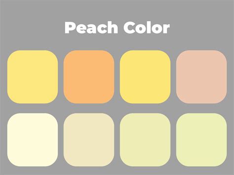 pastel peach color palette, soft colors 3422164 Vector Art at Vecteezy