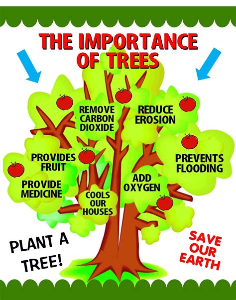 The Benefit of Planting Trees- Importance of Trees in Our Life ...