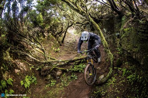 First Ride Review: Canyon Torque 2018 – Freeride is back | Page 3 of 3 | ENDURO Mountainbike ...