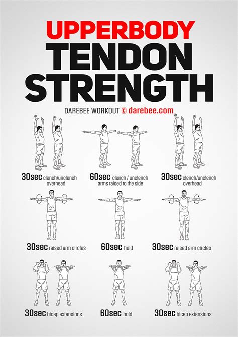 Upperbody Tendon Strength Workout | Strength workout, Fitness body, Workout