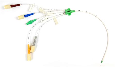 Choosing the right catheter - Buying Guides MedicalExpo