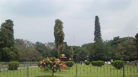 Cubbon Park - Bangalore | Cubbon Park Photos, Sightseeing -NativePlanet