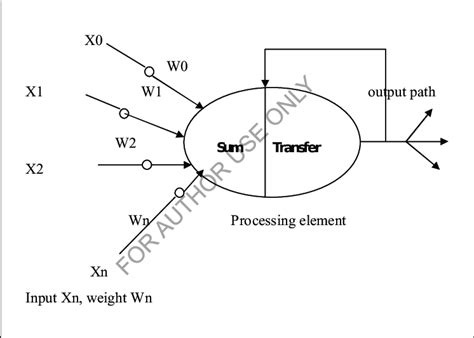 Artificial Neuron In above Figure basic structure of the artificial... | Download Scientific Diagram