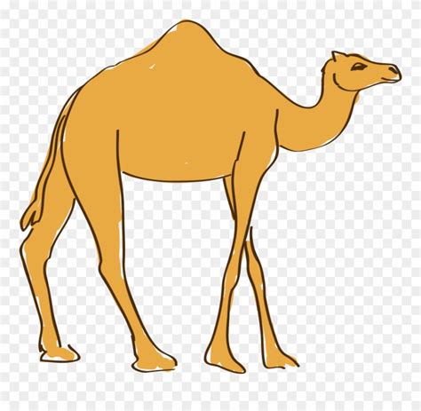 cartoon camel clipart 10 free Cliparts | Download images on Clipground 2024