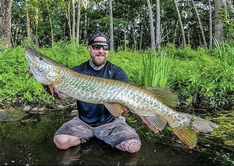 World Record Muskie 2022