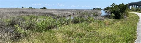 Cedar Island National Wildlife Refuge, North Carolina - 2 Reviews, Map | AllTrails