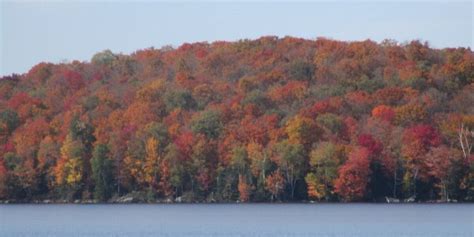 Saranac Lake fall foliage 2023