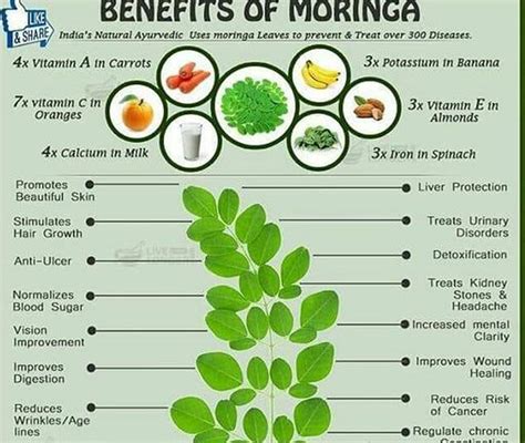 The Superfood Grocer Moringa (Malunggay) Capsules, 52% OFF