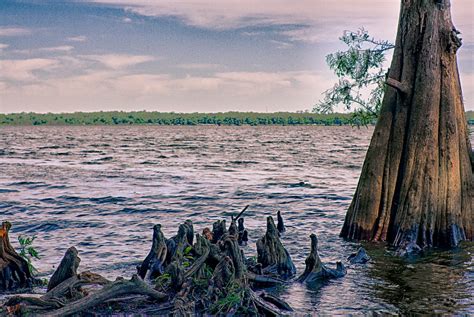 20130505-IMG_1445_HDR | Lake Jesup from Central Winds Park i… | Flickr