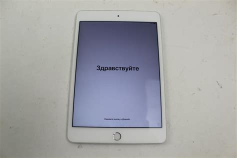 Apple IPad Mini 4th Gen, 64GB, Wi-Fi Only, Activation Locked, Sold For Parts | Property Room