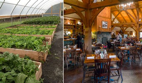 4 Farm-to-Table Restaurants in the Foothills to Try This Fall | Our State