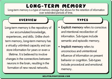 6 Types of Long-Term Memory (2024)