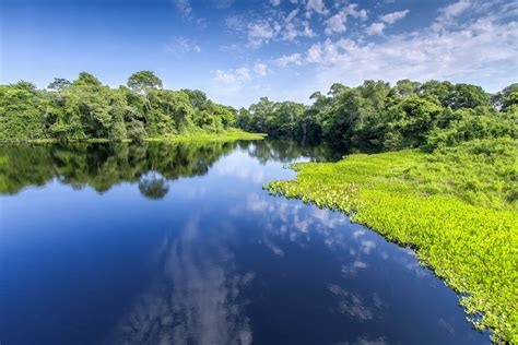 Pantanal, Brasilien | Franks Travelbox