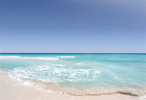 Explore Bean Point Beach on Anna Maria Island| Beach House Real Estate