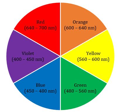 Draw an absorbance color wheel. | Quizlet