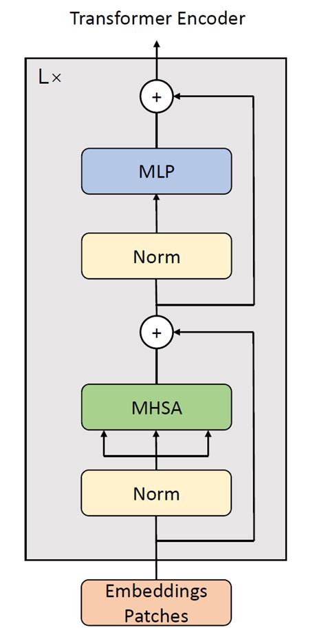 An structure of transformer encoder. | Download Scientific Diagram
