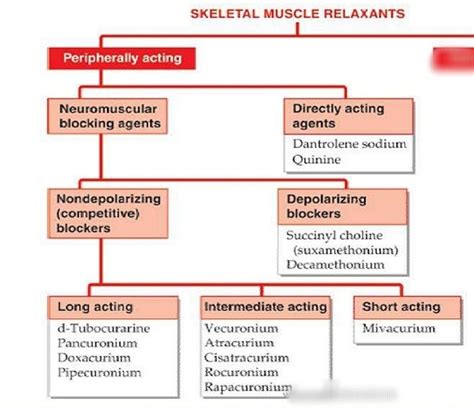 Mechanism of action:- Skeletal muscle relaxants - Remix education