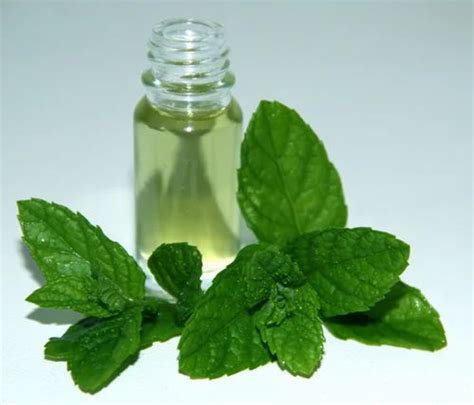 Liquid Mentha Oil / Mentha Arvensis Oil, For Pharma, Packaging Size ...