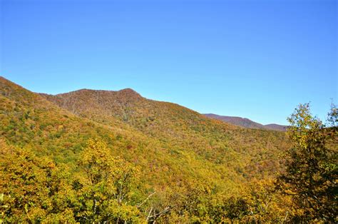 Craggy Gardens in The Fall