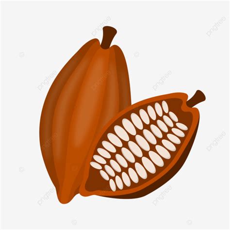 Cartoon Cocoa Bean Fruit Image Vector, Cocoa Bean Illustration, Cartoon Cocoa Bean, Hand Drawn ...