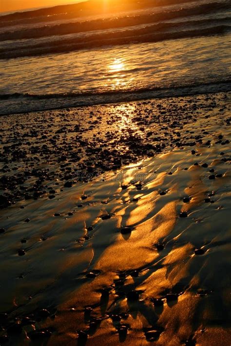 Black Sand Beach at Sunset- Torrey Pines Beach Stock Image - Image of ...