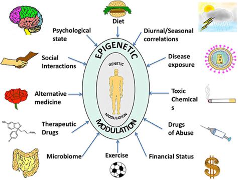 How to best understand your genetics | MTHFR Support Australia