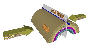 Anticline | Wiki | Everipedia