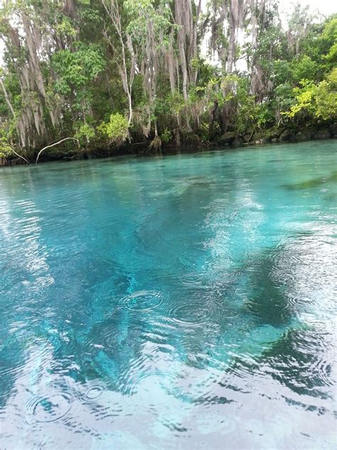 Three Sisters Springs - Crystal River FL | River, Kayaking, Crystal river