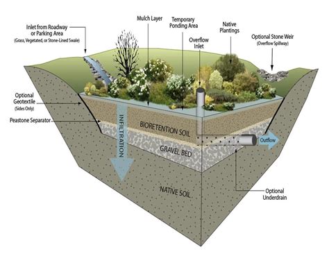 Bioretention cell detail (image credit: GeoSyntec Consultants) | Pond design, Rain garden ...