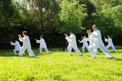 Health is True Wealth: Tai Chi Can Speed Up the Recovery of Stroke Patients