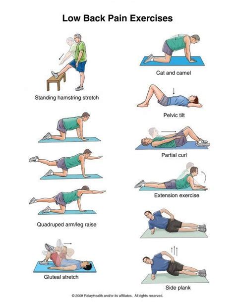 Williams Exercise vs. The McKenzie Method: Choosing the Right Path to ...