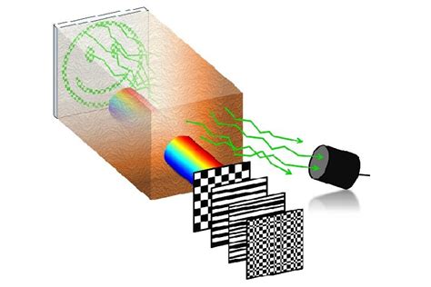 Researchers report innovative optical tissue imaging method